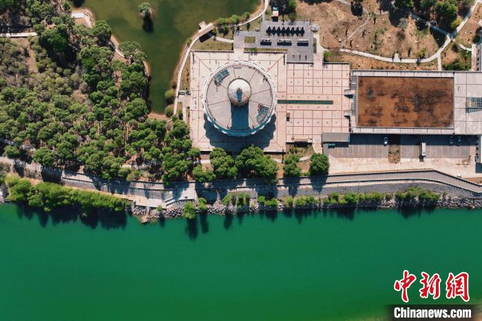 航拍青海貴德黃河岸畔綠意濃濃?！≮w凜松 攝