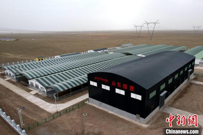 圖為航拍生態(tài)畜牧業(yè)集中規(guī)?；B(yǎng)殖基地?！〔讨绢?攝