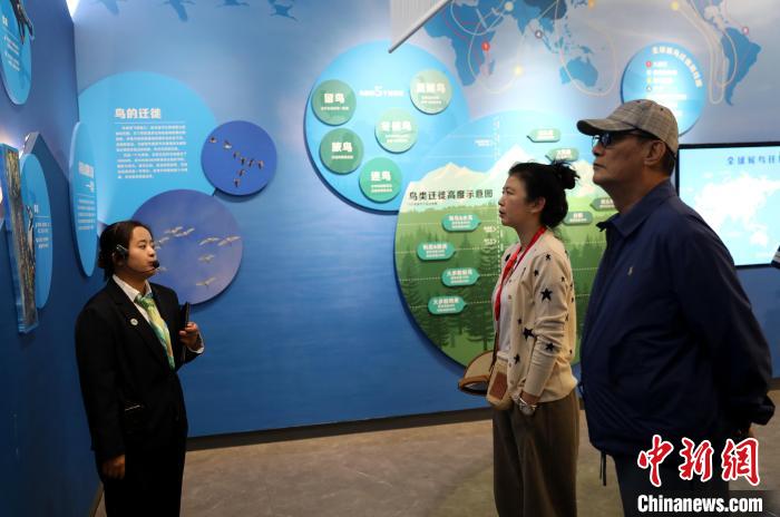 圖為臺商在祁連山國家公園生態(tài)科普館內(nèi)聆聽講解?！⊙Φ?攝