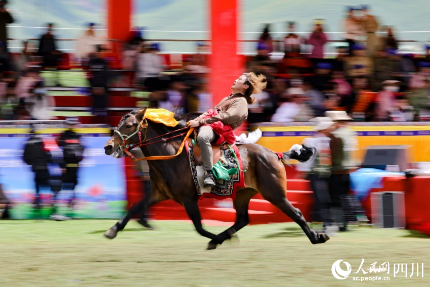 馬術(shù)表演現(xiàn)場。洛絨尼瑪攝