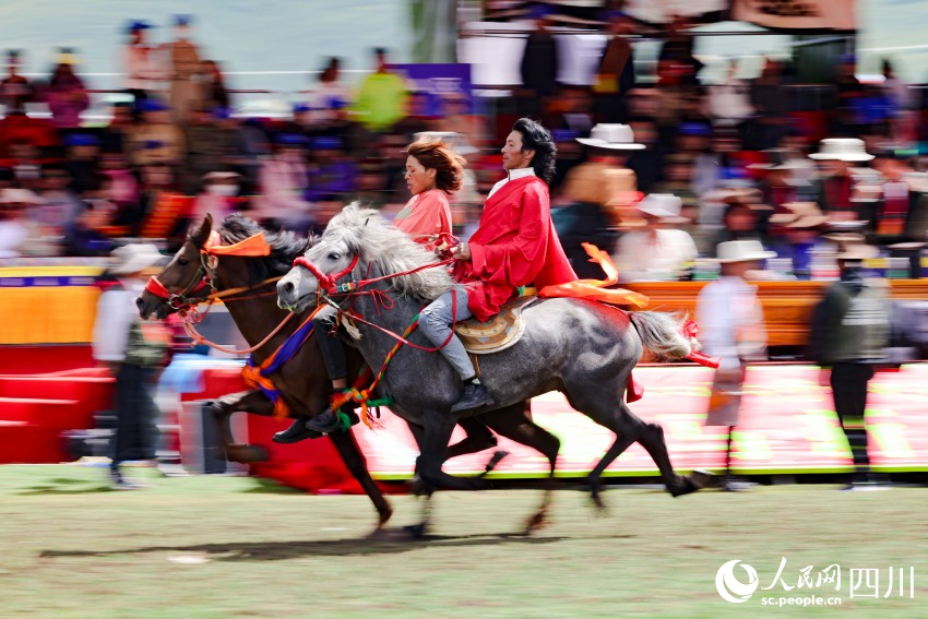 馬術(shù)表演現(xiàn)場。洛絨尼瑪攝