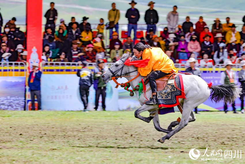 馬術(shù)表演現(xiàn)場。洛絨尼瑪攝