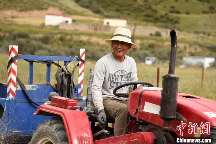 青海囊謙：喜迎秋收，又是一年“豐”景