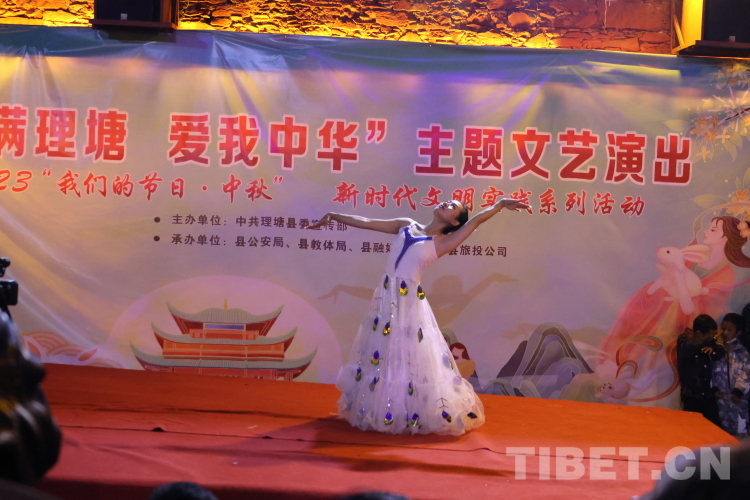 圖為舞蹈表演.JPG
