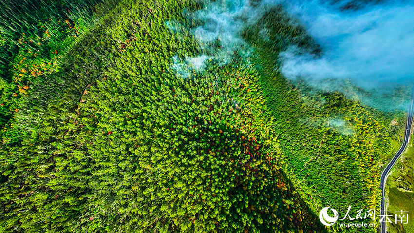 秋日普達(dá)措。格瑪攝