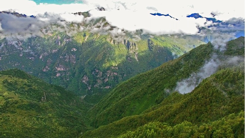 丹巴縣牦牛谷省級(jí)森林公園風(fēng)光。丹巴縣委宣傳部供圖