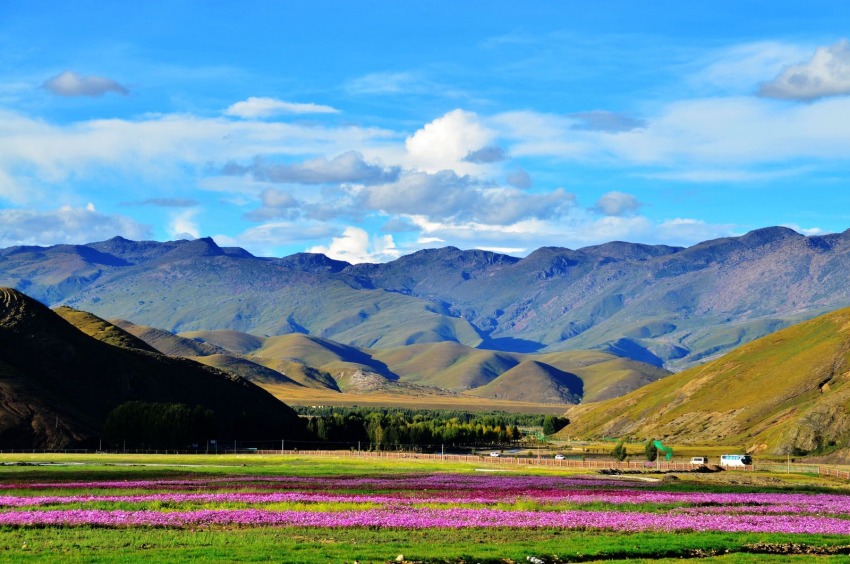 稻城風(fēng)光。稻城縣委宣傳部供圖