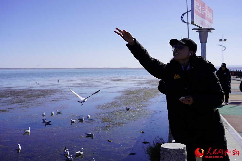 游客投喂水鳥。人民網(wǎng) 陳明菊攝