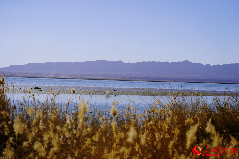 可魯克湖秋色如畫。人民網(wǎng) 陳明菊攝