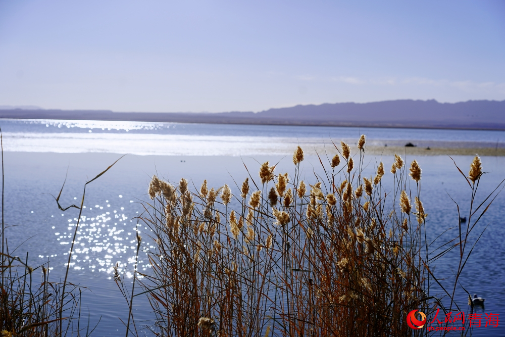 可魯克湖秋色如畫。人民網(wǎng) 陳明菊攝