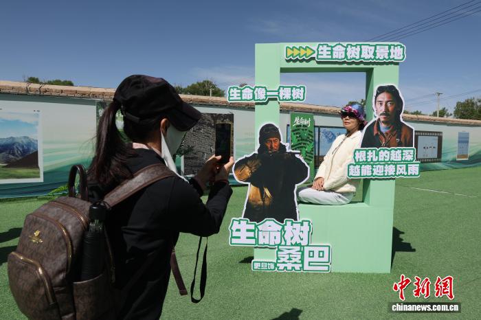 青海德令哈：游客在《生命樹》取景地沉浸打卡