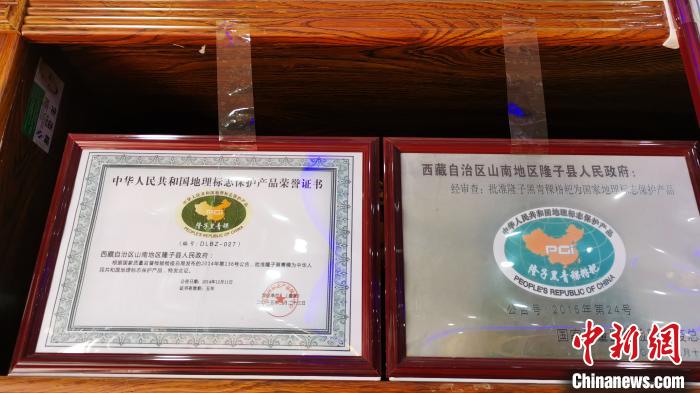 圖為2015年，隆子黑青稞成為中國(guó)國(guó)家地理標(biāo)志保護(hù)產(chǎn)品。　張偉 攝