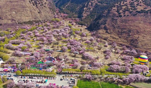 世外桃源！一組圖告訴你，西藏林芝桃花能有多美