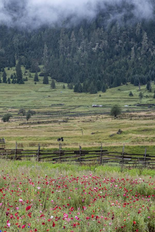 跟我，踏上最美“景觀大道”