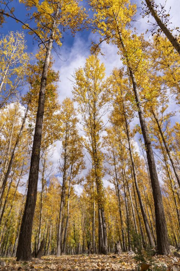 跟我，踏上最美“景觀大道”
