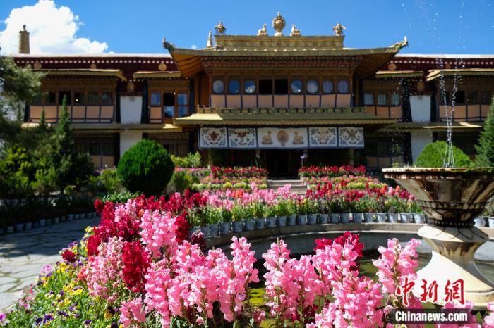 圖為夏日羅布林卡(資料圖)。趙朗攝