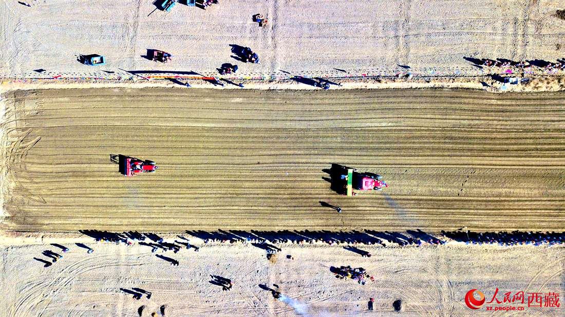 山南市扎囊縣扎其鄉(xiāng)孟卡榮村迎來(lái)春耕第一犁。人民網(wǎng) 次仁羅布攝