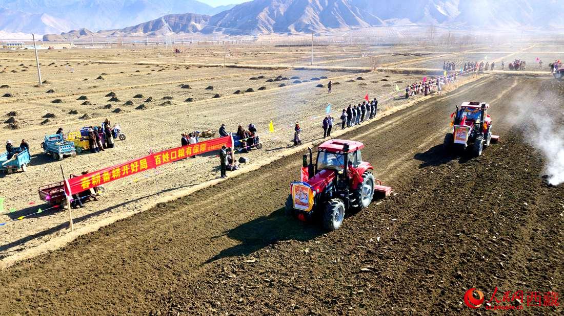 山南市扎囊縣扎其鄉(xiāng)孟卡榮村迎來春耕第一犁。人民網(wǎng) 次仁羅布攝