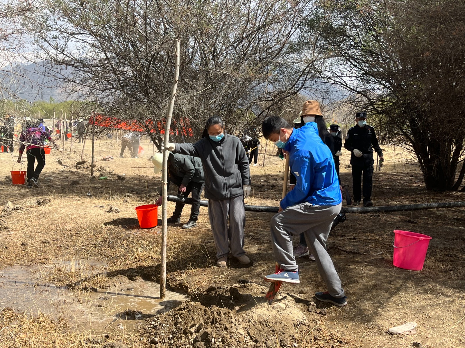 植樹現(xiàn)場(chǎng)，大家分工明確，配合默契(2000565)-20220420090303.jpg