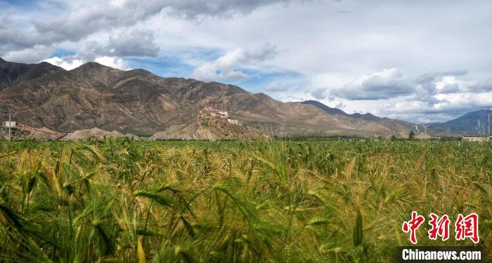 西藏啟動(dòng)G219紅色印記探線活動(dòng)