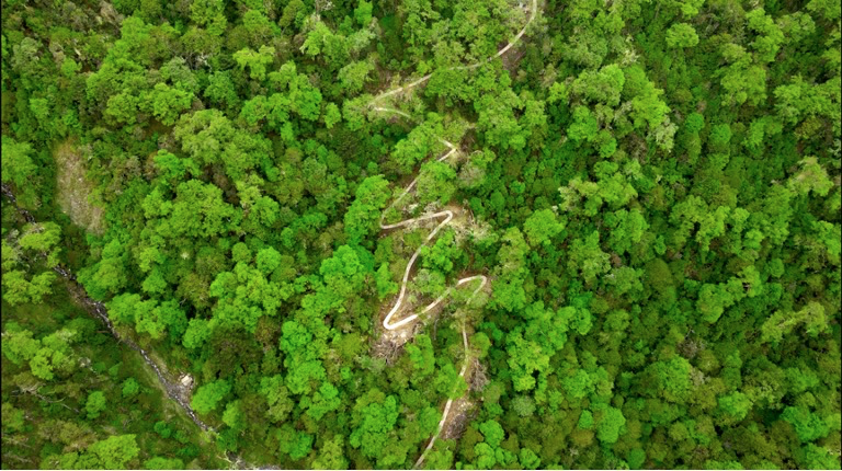 大美邊疆行丨西藏:固邊興邊富民 打造高原邊疆美麗新畫卷