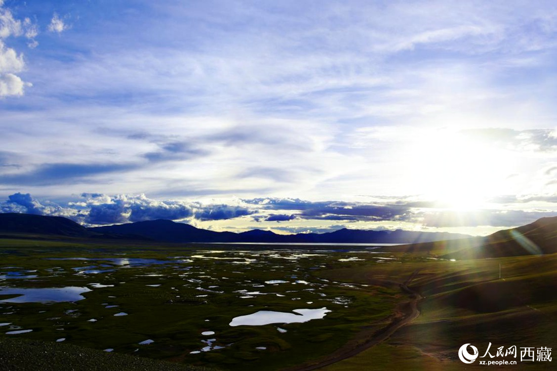 七月的羌塘草原處處是景。人民網(wǎng) 李海霞攝