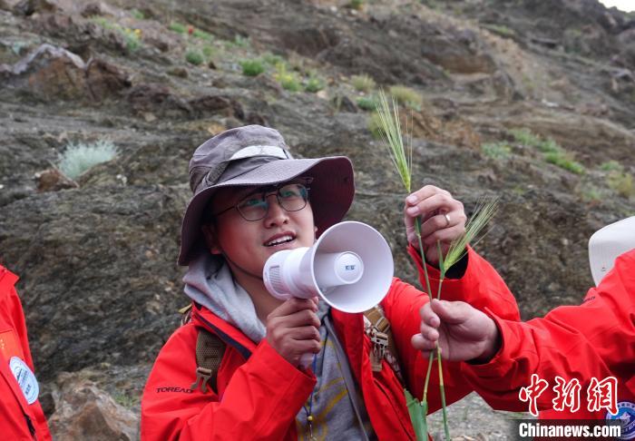 青藏科考：青稞如何走上青藏高原？