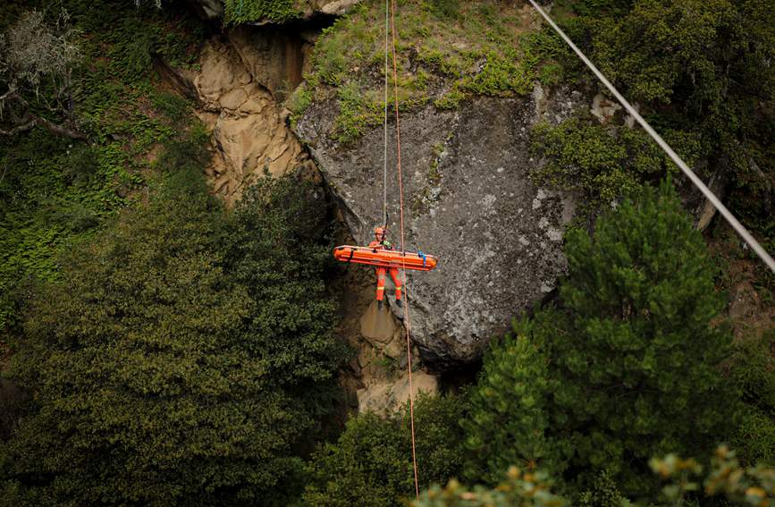叢林中的橙色身影。西繞拉翁攝