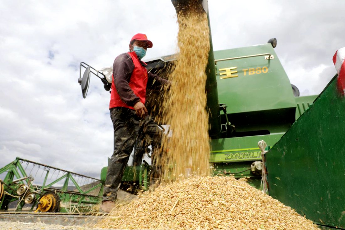 顆粒歸倉。洛克攝