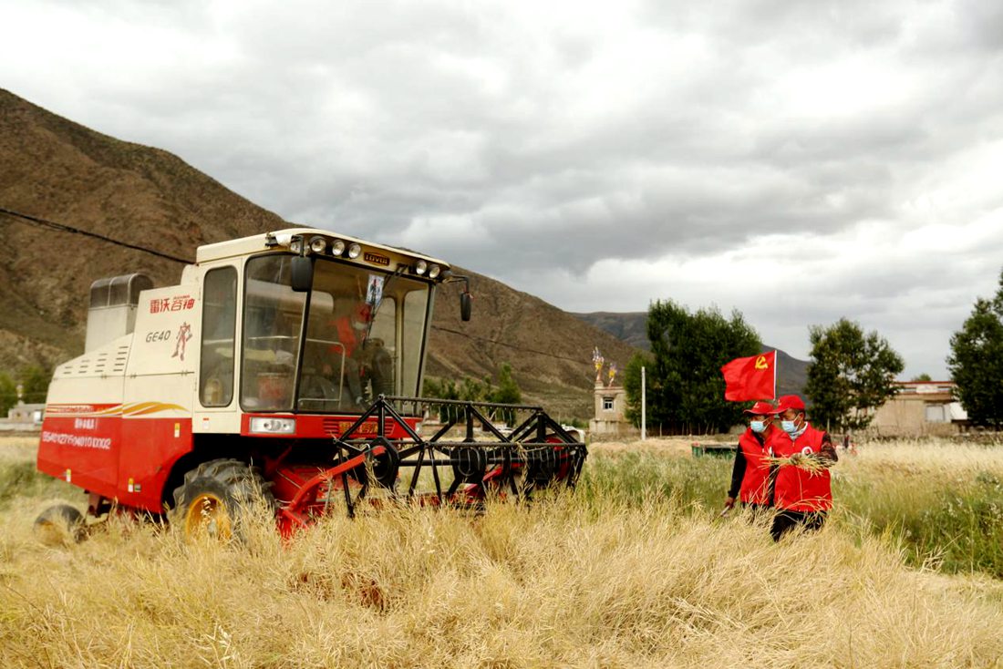 陣陣機(jī)械的轟鳴聲傳來豐收的喜悅。洛克攝
