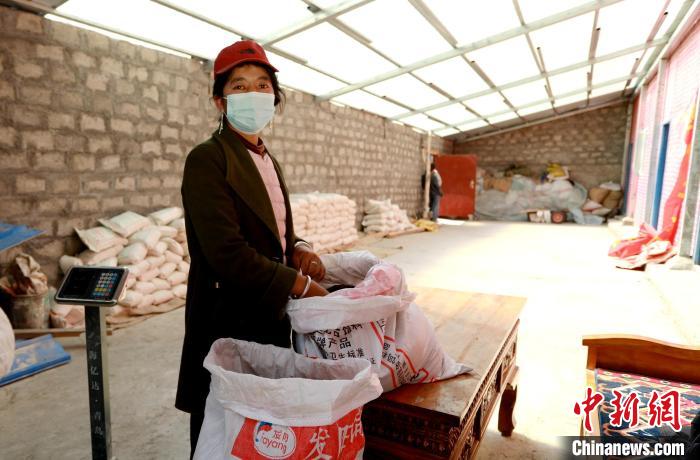 圖為寧重崗村村民扎西才措把自家的油菜籽送到合作社銷售?！〖卫杩h融媒體中心供圖