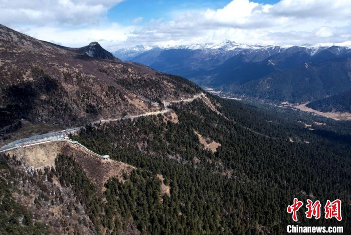 2月17日，西藏林芝魯朗林海。(無(wú)人機(jī)照片) 李林 攝