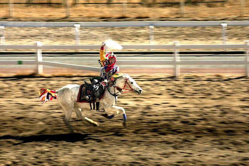 藏歷新年，精彩的馬術(shù)表演。張靜攝