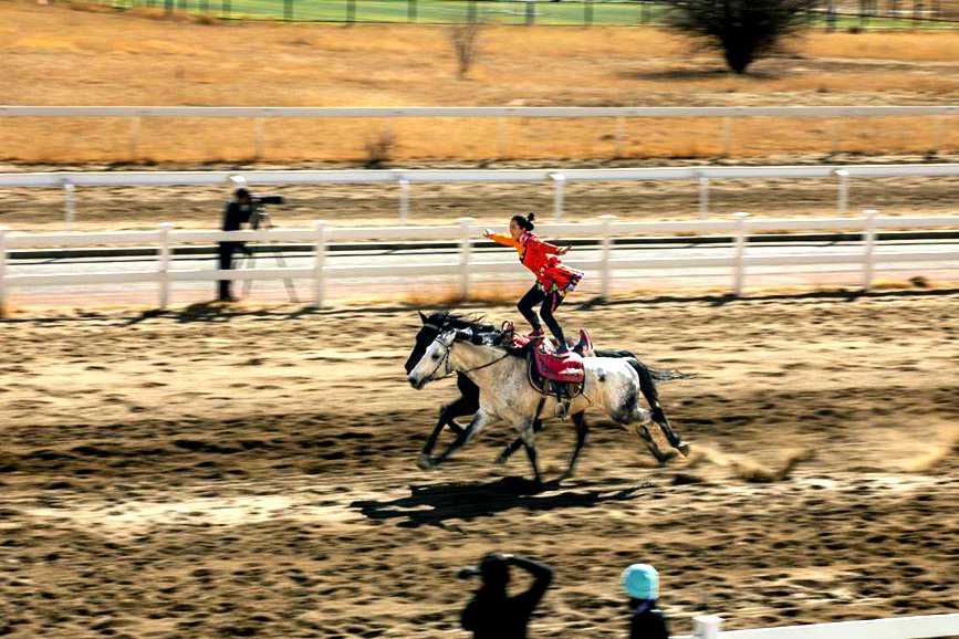 藏歷新年，精彩的馬術(shù)表演。張靜攝