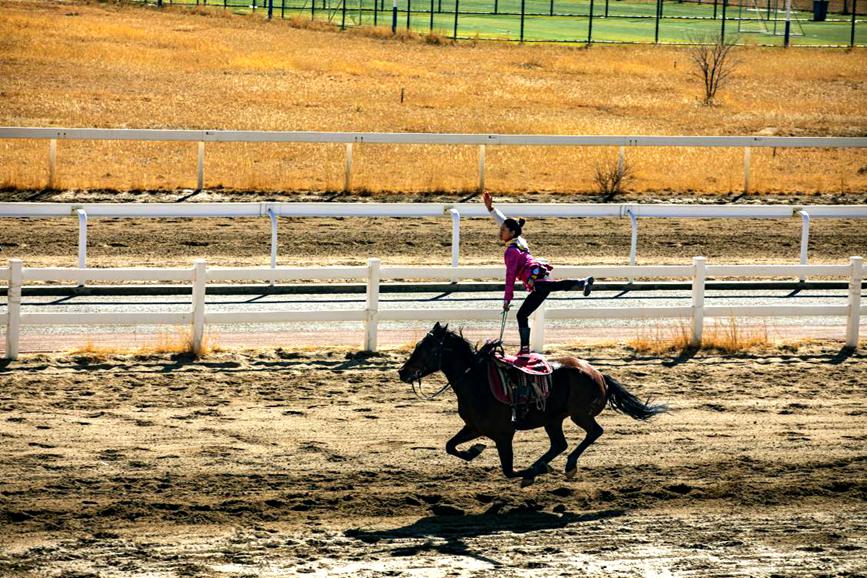 藏歷新年，精彩的馬術(shù)表演。張靜攝