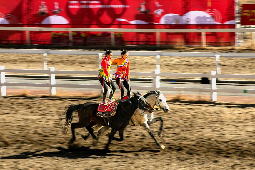 藏歷新年，精彩的馬術(shù)表演。張靜攝
