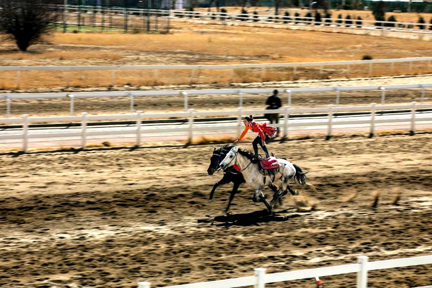 藏歷新年，精彩的馬術(shù)表演。張靜攝