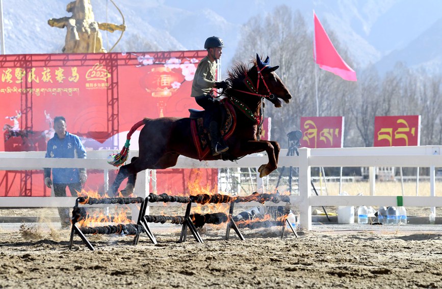 藏歷新年，精彩的馬術(shù)表演。潘多攝