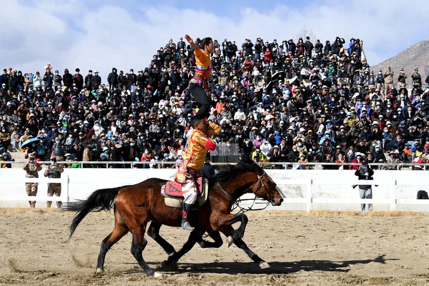 藏歷新年，精彩的馬術(shù)表演。潘多攝