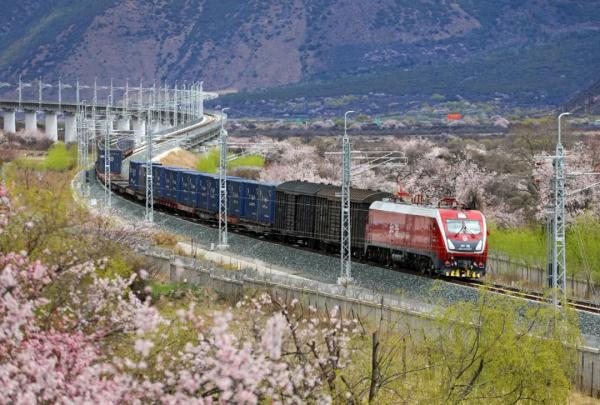 人間桃花源！林芝桃花有多絕？