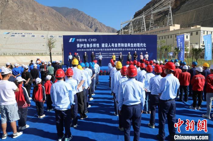 圖為蘇洼龍水電站魚類放流現(xiàn)場(chǎng)。　蘇洼龍水電站供圖