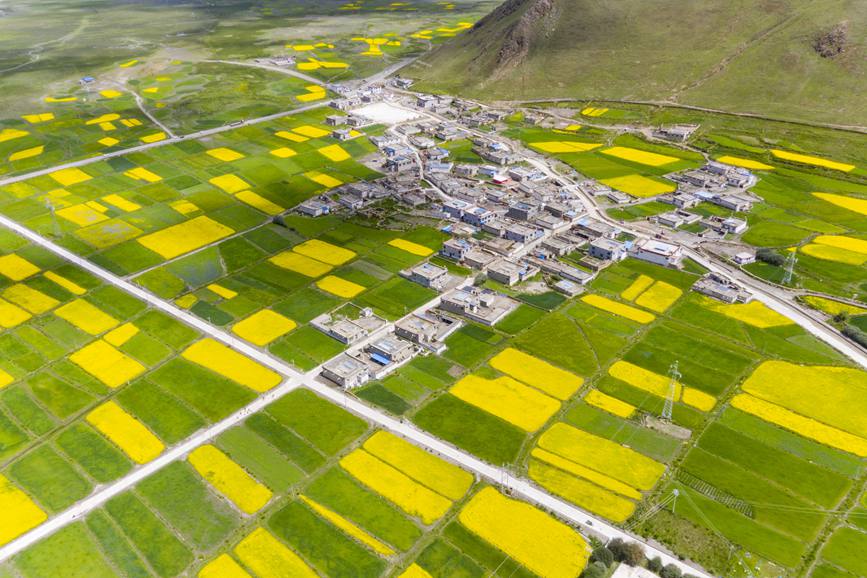 航拍道布龍村，依山傍水，阡陌縱橫。