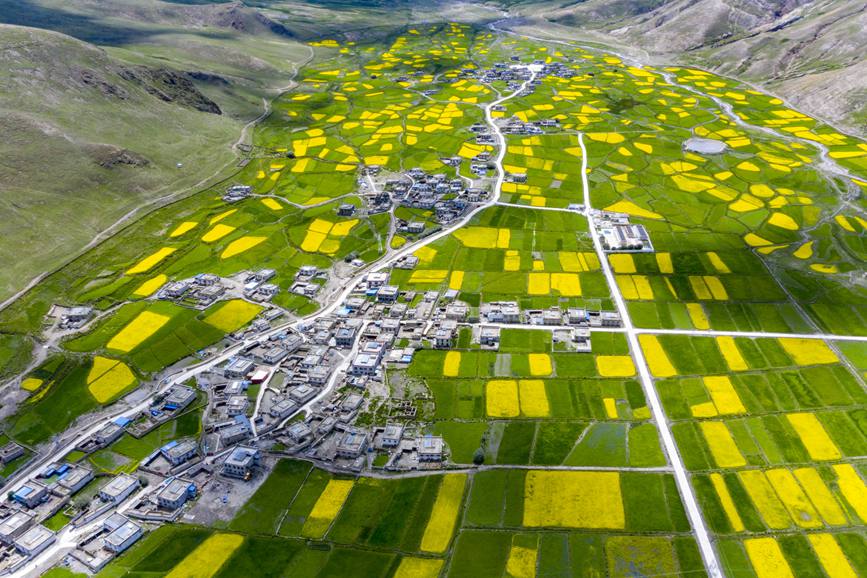 航拍道布龍村，依山傍水，阡陌縱橫。
