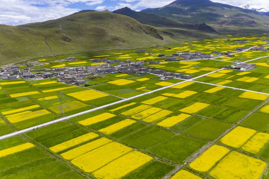 航拍道布龍村，依山傍水，阡陌縱橫。