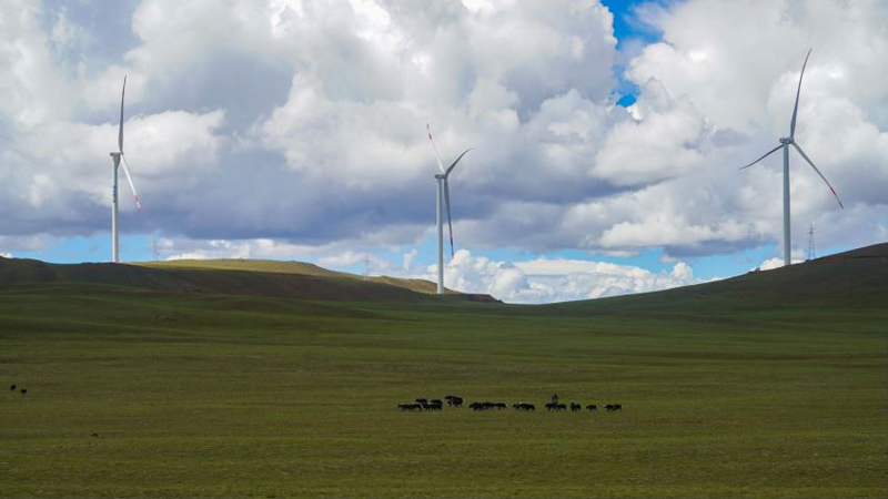 西藏措美哲古風(fēng)電場首批3.6兆瓦風(fēng)電機組并網(wǎng)發(fā)電。受訪者供圖