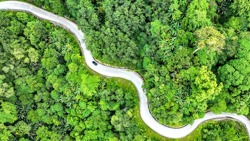 穿行于綠色間，生態(tài)優(yōu)良。張澤坤攝