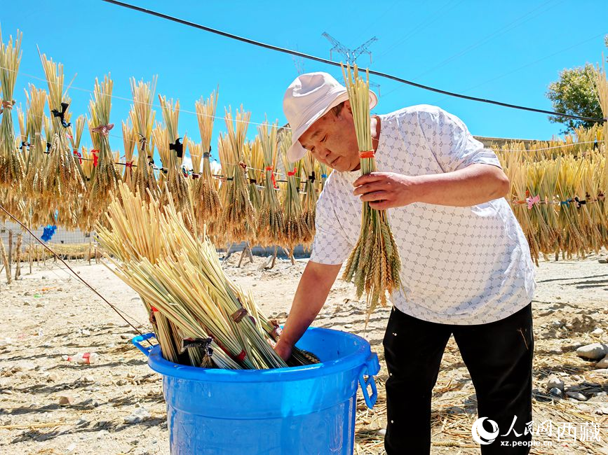 幸福生活曬出來。人民網(wǎng) 李海霞攝