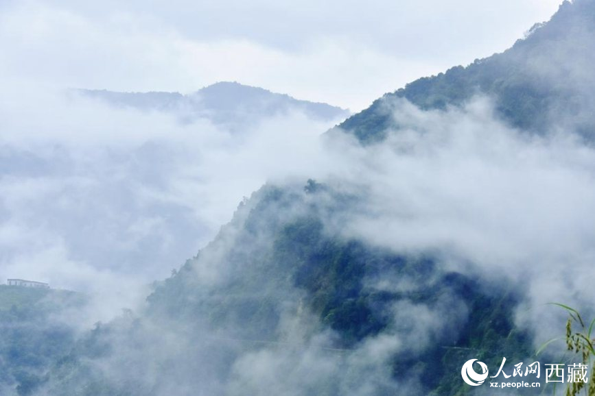 秋日里的墨脫云海。人民網(wǎng) 李海霞攝