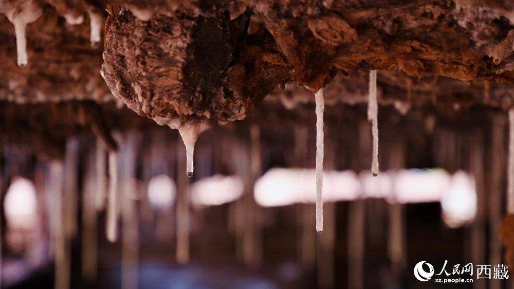 自然滲下的鹽柱結晶。人民網記者 次仁羅布攝