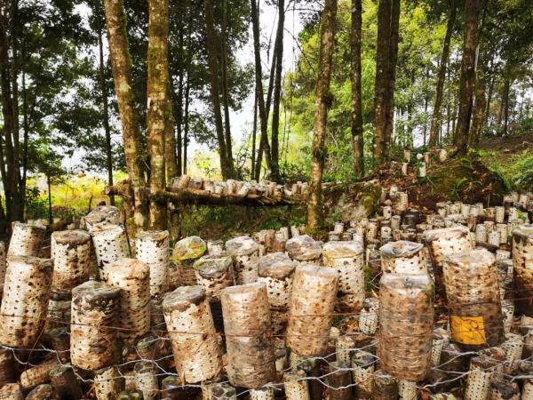 幾代建設(shè)者，歷經(jīng)半個(gè)多世紀(jì)完成！這是一條怎樣的公路？